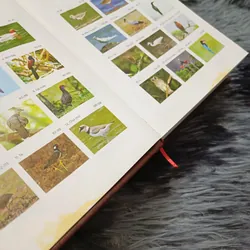 Các loài chim Việt Nam (Lê Mạnh Hùng) 736179