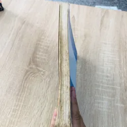 THỰC HÀNH SẢN PHỤ KHOA  975780