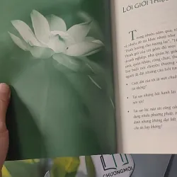 Minh Triết Trong Đời Sống - Nguyên Phong 961187