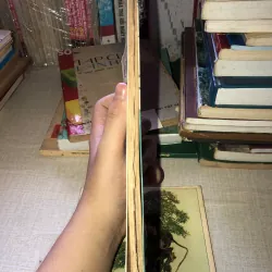 Chế tác non bộ 970633