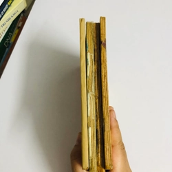 BỘ 4 TẬP LÝ TIỂU LONG VÕ CÔNG TOÀN THƯ ( Lạc Việt - Phạm Xuân Thảo) 541584