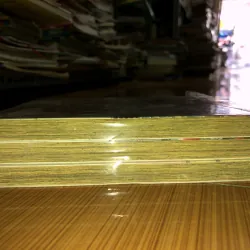 Sư tử tháng 3 - Chica Umino 779699