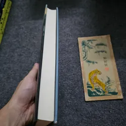 Nếu một đêm đông có người lữ khách ( bìa cứng, có ck dịch giả) - Italo 733058