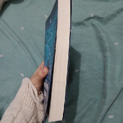 Những Cuộc Phiêu Lưu Của Huckleberry Finn 60275