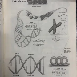 Combo 3 cuốn sách khoa học cho bé mê khám phá 926082