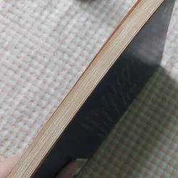 DÍ DỎM ĐỜI VĂN - HOÀNG MINH CHÂU • Bản in năm 2000 751368