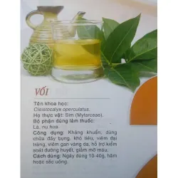 Lá vối nếp tươi 758114