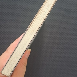 Cô gái đến từ hôm qua - Nguyễn Nhật Ánh 503871
