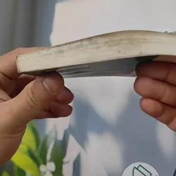 Điện Biên Trong Tôi - Đoàn Hoài Trung 798301