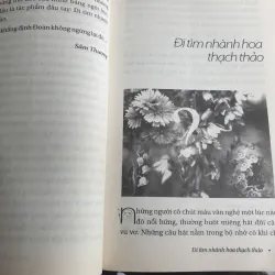 Đi Tìm Nhành Hoa Thạch Thảo 694440