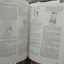 TỪ ĐIỂN CÂY THUỐC VIỆT NAM - VÕ VĂN CHI 455989