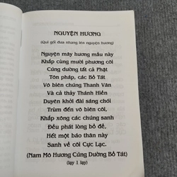 PHẬT THUYẾT ĐẠI THỪA VÔ LƯỢNG THỌ TRANG NGHIÊM THANH TỊNH BÌNH ĐẲNG GIÁC KINH 494697