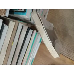 TRO BỤI - NGUYỄN TRỌNG NGHĨA 146299