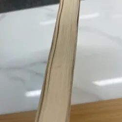 Nhật ký Helene Berr 563316