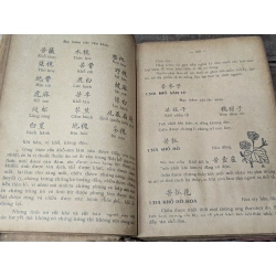 Dược tính chỉ nam - Nguyễn Văn Minh 549129