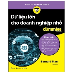 Dữ liệu lớn cho doanh nghiệp nhỏ for Dummies - Bernard Marr 2020 New 100% HCM.PO 28252