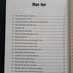 Trưởng Thành Từ Những Khó Khăn 310368