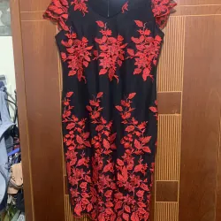 Đầm thêu hoa (freesize)