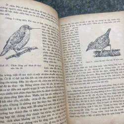 Đời sống các loài chim Võ Quý XB 1977 763312