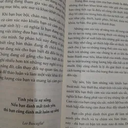 Người nam châm. Bí mật của luật hấp dẫn 574860