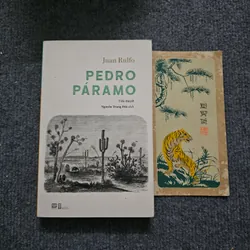 Pedro Paramo