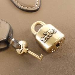 Túi Coach CC411 617833