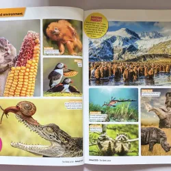 The Week Junior Annual 2019 - Bách khoa giải trí 999819