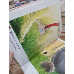 The Hedgehog - Roderick Hunt, Alex Brychta