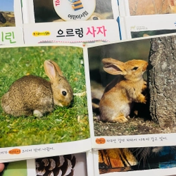 𝐒𝐚́𝐜𝐡 𝐚̉𝐧𝐡 𝐯𝐞̂̀ 𝐭𝐮̛̣ 𝐧𝐡𝐢𝐞̂𝐧 tiếng Hàn 사진으로 보이는 자연 이야기  496926