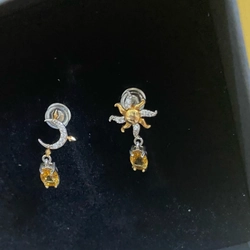 Hoa Tai Bạc sao trăng  536461