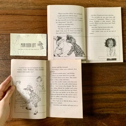 Sách ngoại văn - Combo 2 cuốn Junie B. Jones by Barbara Park, Used, trình độ A1-A2 538130
