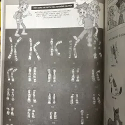 Combo 3 cuốn sách khoa học cho bé mê khám phá 926082