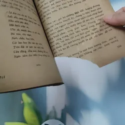 [XƯA] Mộng Du - Huyền Thoại & Hiện Thực (1988) - Phạm Hổ 776011