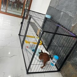 Chuồng chó 120/60/60cm 549176