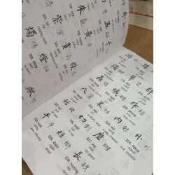 HÁN NÔM ĐA DỤNG - LONG CƯƠNG 164501