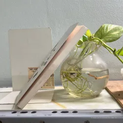 Chúng ta rồi sẽ hạnh phúc theo những cách khác nhau 763035