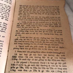 Úm gà con - Đào Đức Long 992598