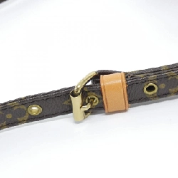 Túi đeo vai Louis Vuitton Monogram Amazon M45236 611449