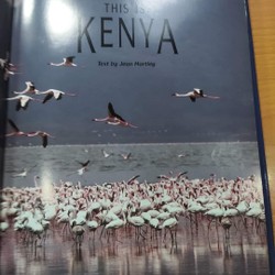 This is Kenya- Jean Hartley 70849