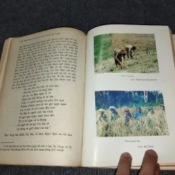 ĐẶC TRƯNG VĂN HOÁ VÀ TRUYỀN THỐNG CÁCH MẠNG CÁC DÂN TỘC Ở KỲ SƠN NGHỆ AN 991164