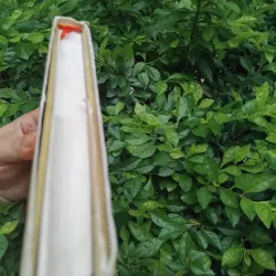 Ngôn ngữ thơ Trung Hoa của Francois Cheng  1001942