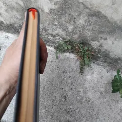 Sứ mệnh văn nghệ của Nguyễn Nam Châu 1026176