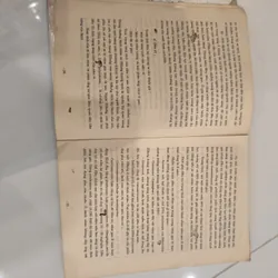 Bệnh viêm gan siêu vi 576285