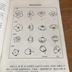 Sách tiếng Trung 1037479