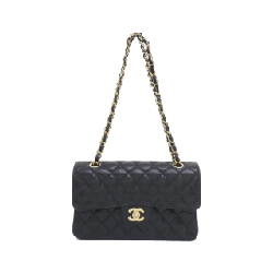 Túi xách chéo Chanel 1113