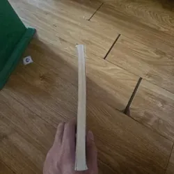 Little Owl Needs a Home Giá 20k  604027