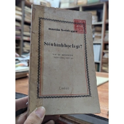 Siêu hình học là gì - Martin Heidegger