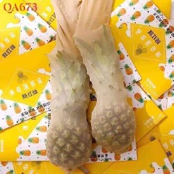 QUẦN TẤT QUẢ DỨA🍍🍍🍍🍍🍍🍍🍍🍍🍍 46483