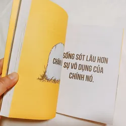 Thay Đổi Tư Duy Gãy Cứ Phi Lý Đi 559358