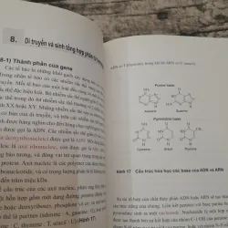 BỆNH HUYẾT SẮC TỐ- Giáo sư Bác sỹ Nhật Teruo Harano SYSMEX CORP. 778131